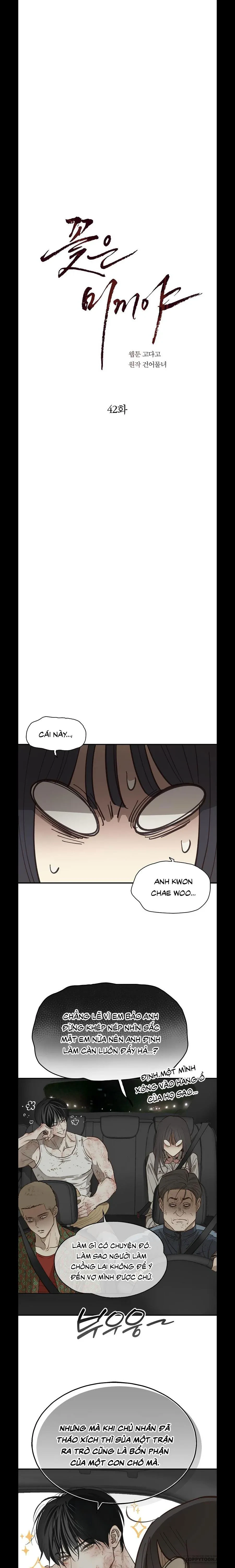 Đóa Hoa Là Mồi Nhử Chapter 42 - 9