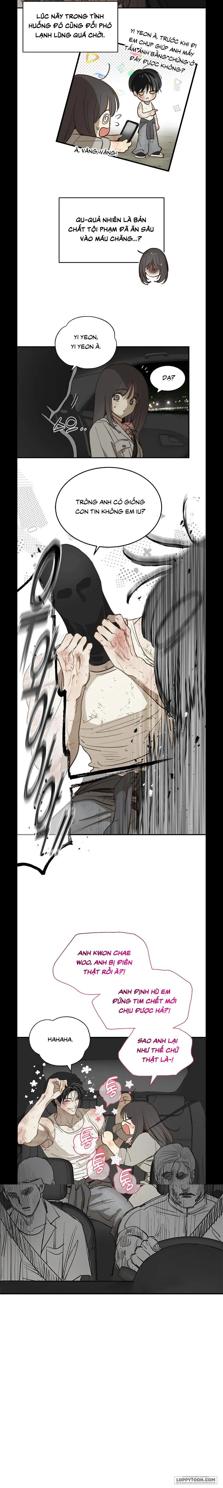 Đóa Hoa Là Mồi Nhử Chapter 42 - 11