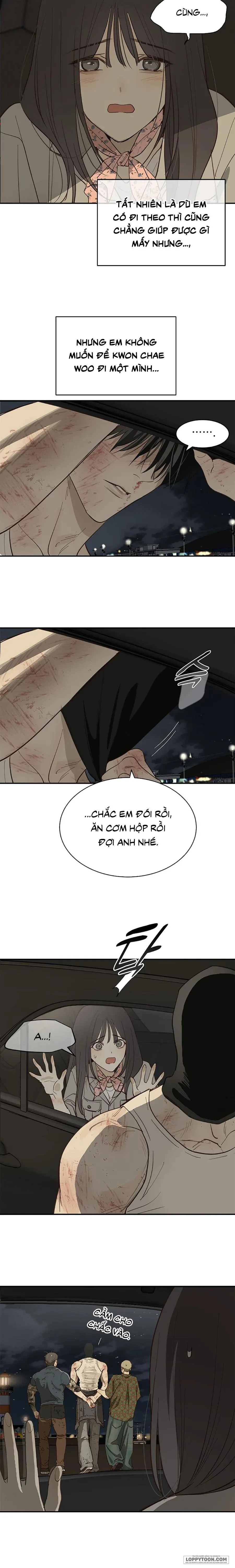 Đóa Hoa Là Mồi Nhử Chapter 42 - 13