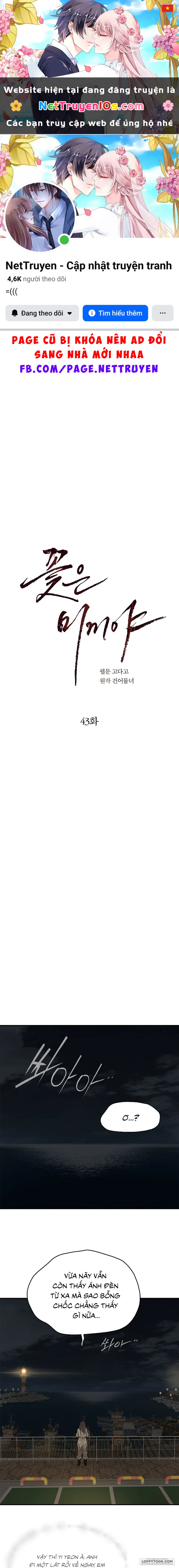 Đóa Hoa Là Mồi Nhử Chapter 43 - 1