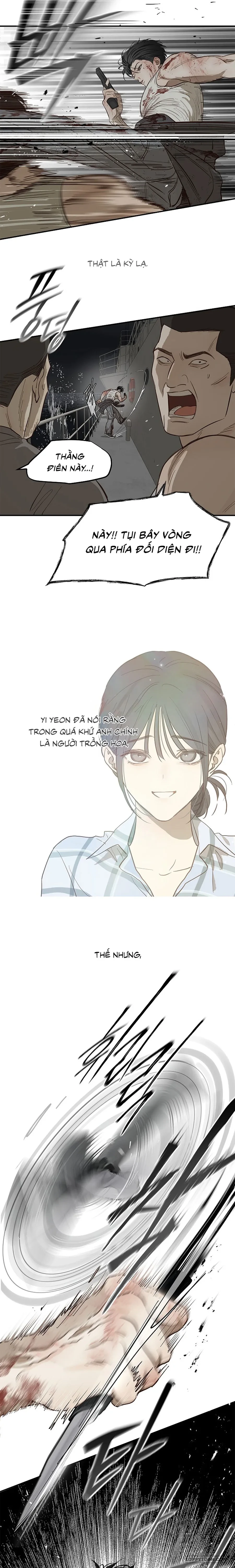 Đóa Hoa Là Mồi Nhử Chapter 43 - 17