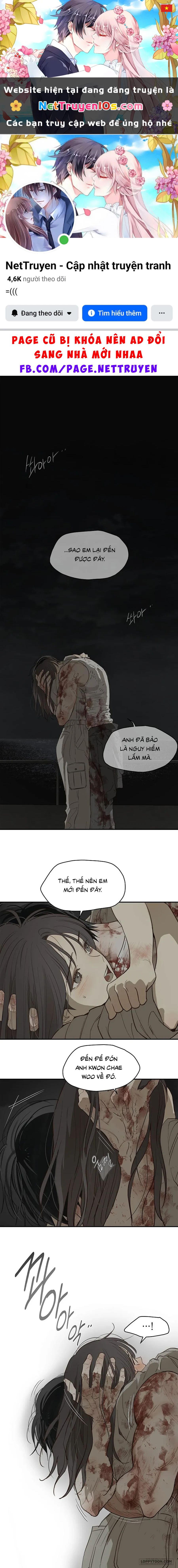 Đóa Hoa Là Mồi Nhử Chapter 44 - 1