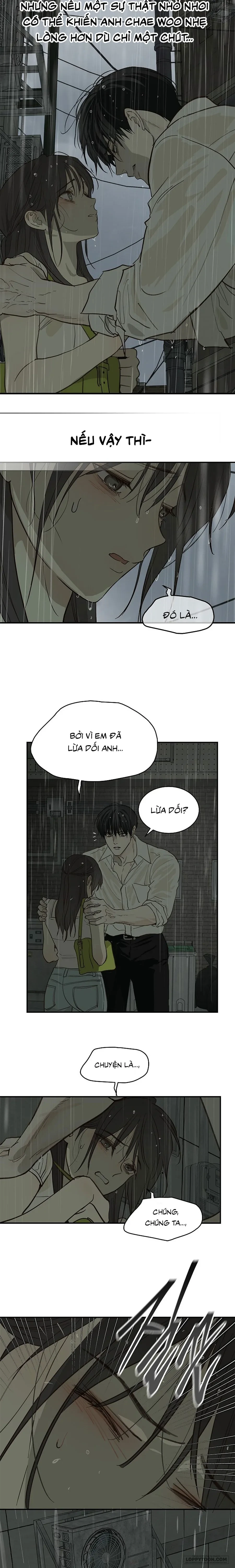 Đóa Hoa Là Mồi Nhử Chapter 47 - 11