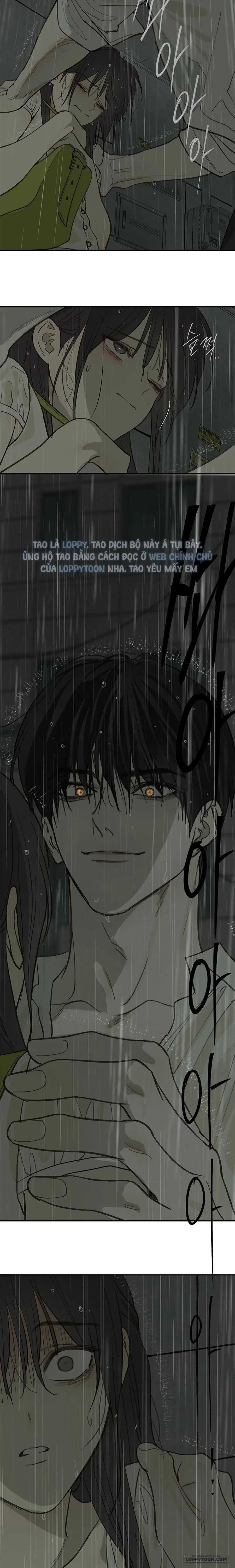 Đóa Hoa Là Mồi Nhử Chapter 47 - 13