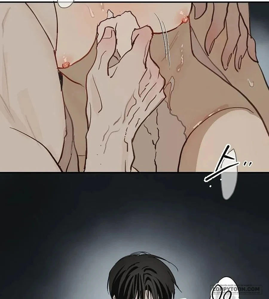 Đóa Hoa Là Mồi Nhử Chapter 51.5 - 13