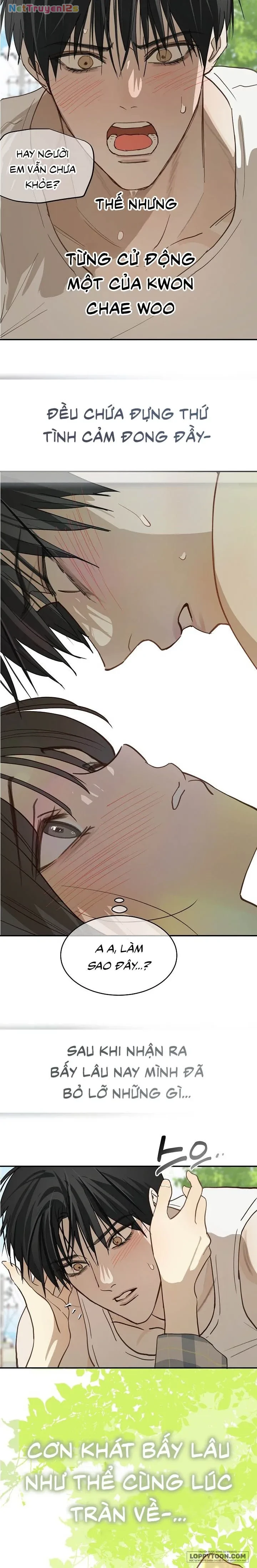 Đóa Hoa Là Mồi Nhử Chapter 54 - 4