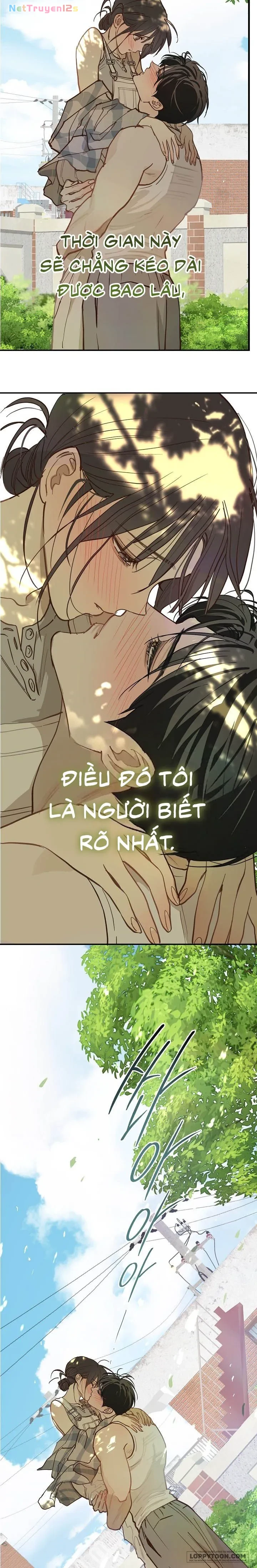 Đóa Hoa Là Mồi Nhử Chapter 54 - 6