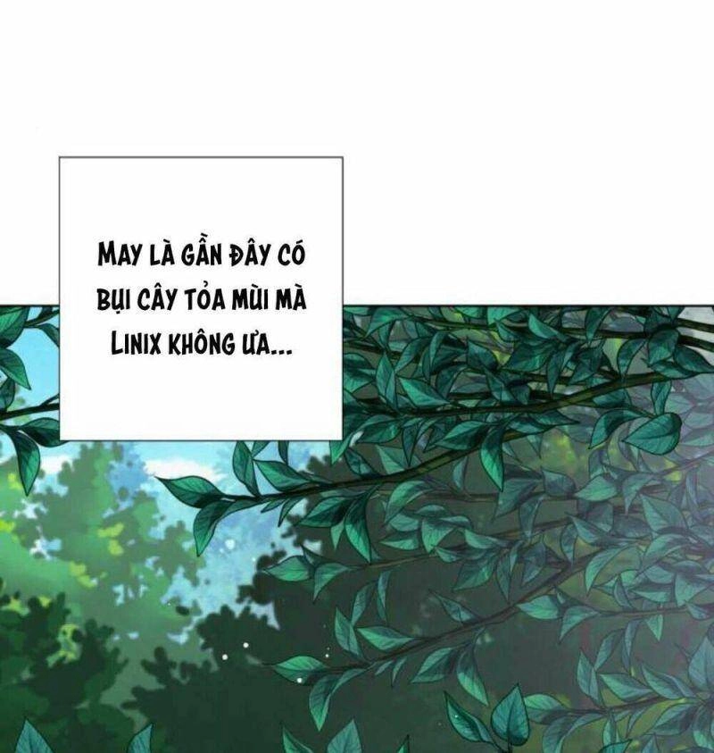 Cách Mà Kỵ Sĩ Sống Như Tiểu Thư Chapter 31 - 76