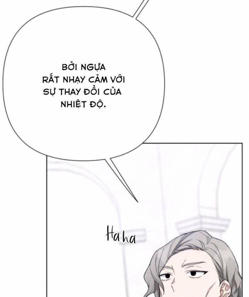 Cách Mà Kỵ Sĩ Sống Như Tiểu Thư Chapter 61 - 74