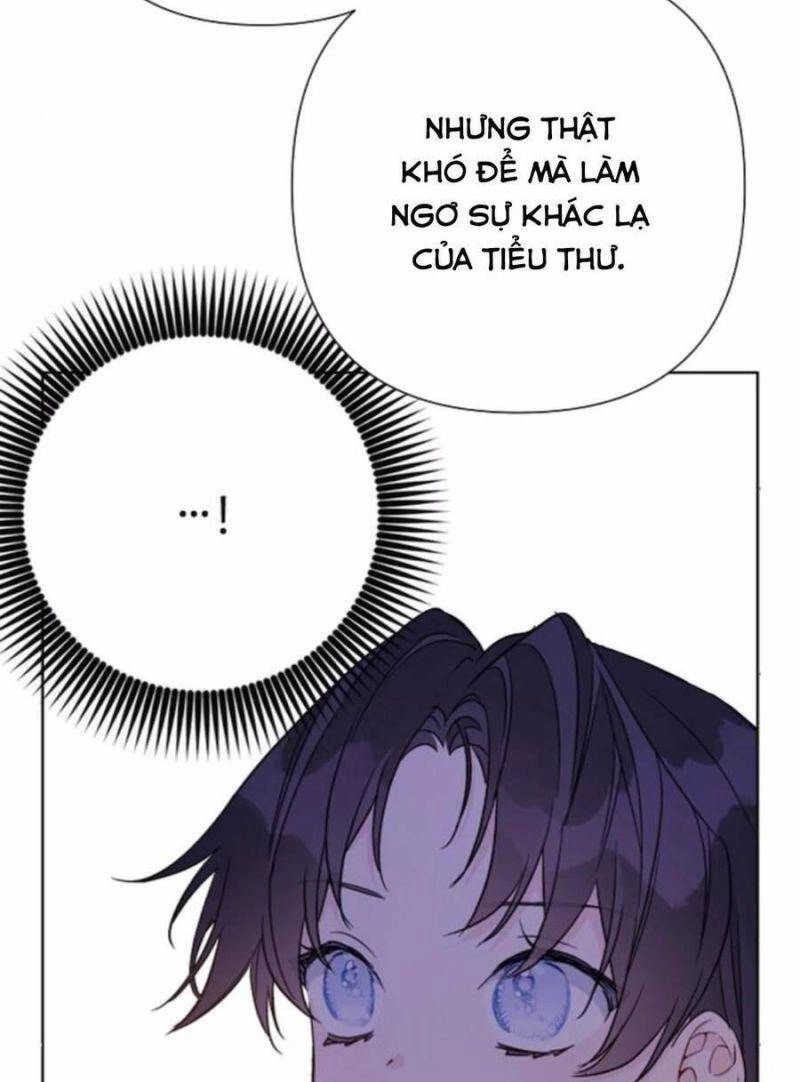 Cách Mà Kỵ Sĩ Sống Như Tiểu Thư Chapter 70 - 73