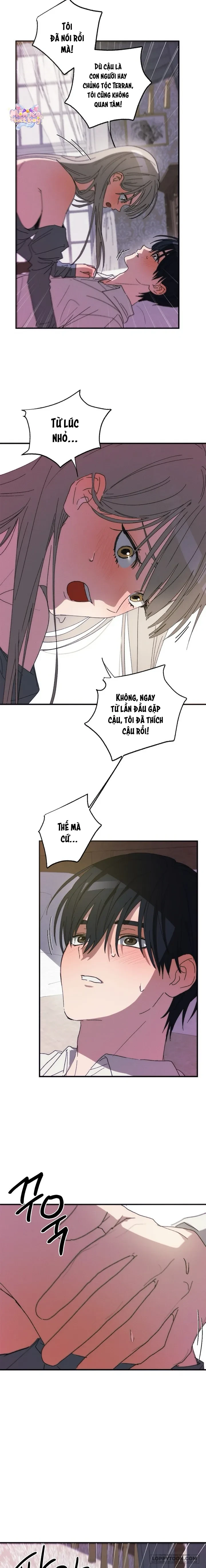 Lời Tuyên Thệ Của Loài Sói Chapter 5 - 13