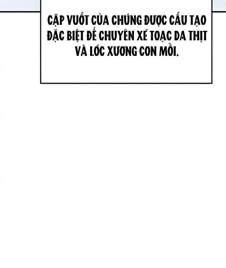 Tử Linh Sư Của Danh Môn Kiếm Thuật Chapter 13 - 40