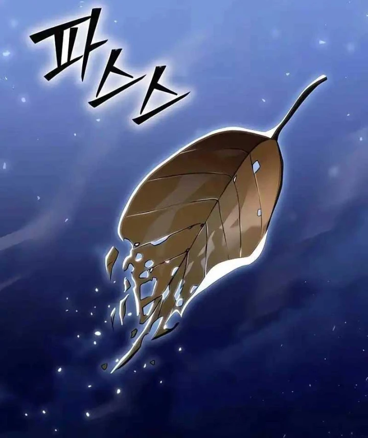 Tử Linh Sư Của Danh Môn Kiếm Thuật Chapter 13 - 105