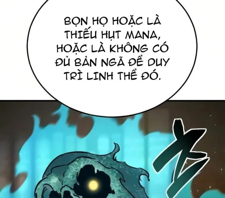 Tử Linh Sư Của Danh Môn Kiếm Thuật Chapter 15 - 338