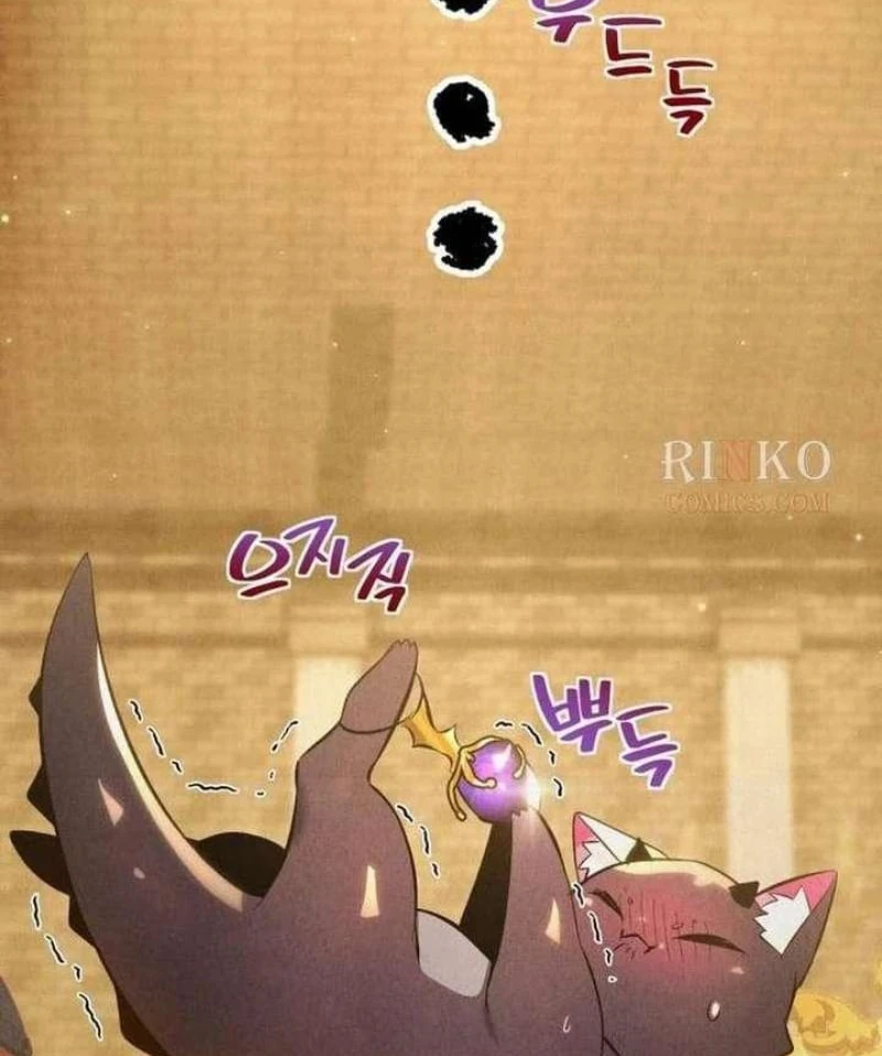 Trở Thành Rồng Nhỏ Chapter  1 - 145