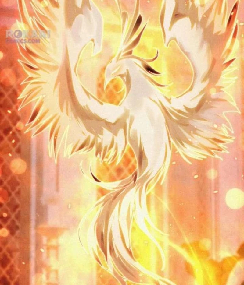 Trở Thành Rồng Nhỏ Chapter  4 - 9