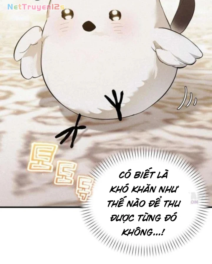 Trở Thành Rồng Nhỏ Chapter  5 - 13