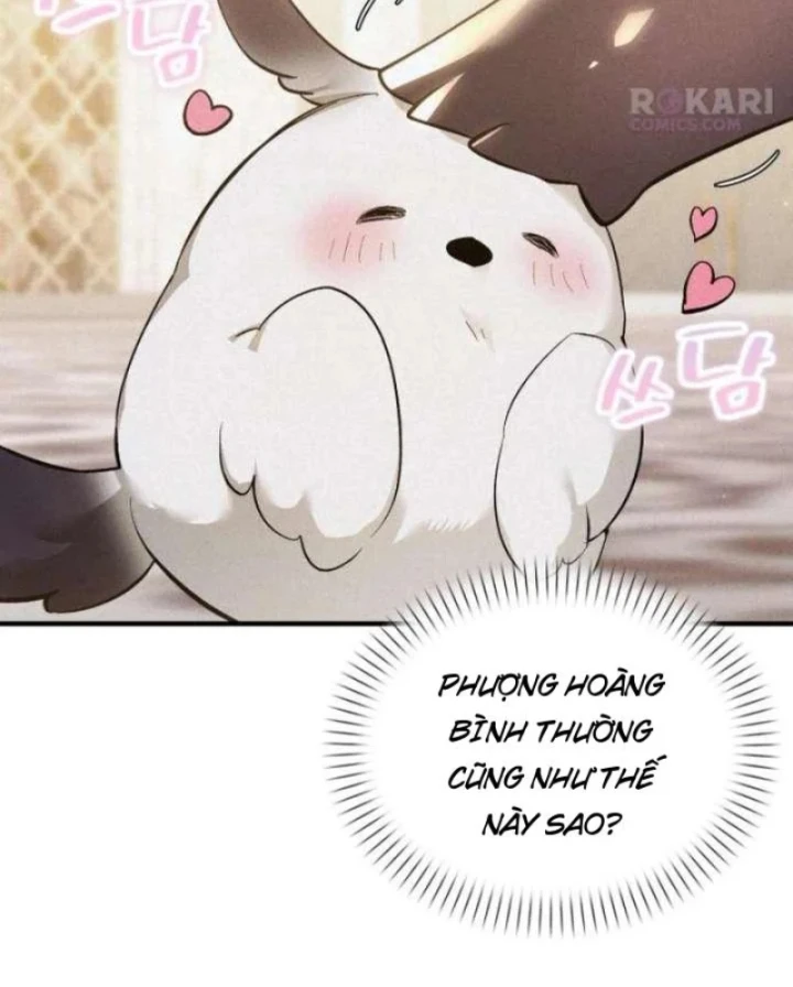 Trở Thành Rồng Nhỏ Chapter  5 - 18