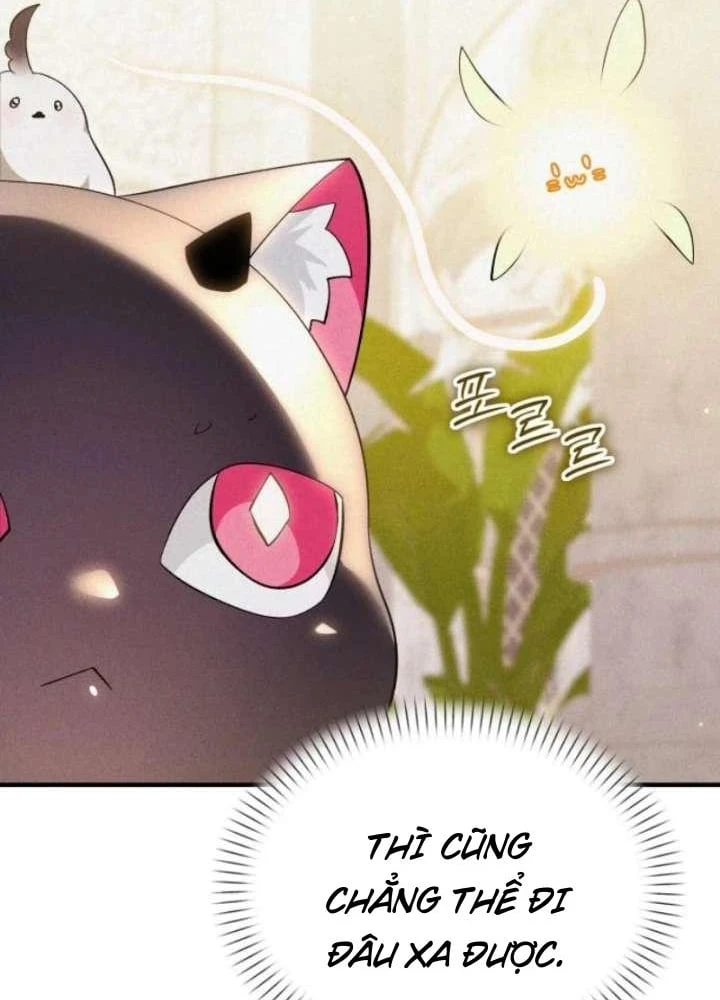 Trở Thành Rồng Nhỏ Chapter 6 - 77