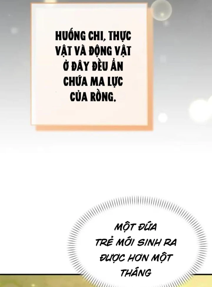 Trở Thành Rồng Nhỏ Chapter 8 - 78
