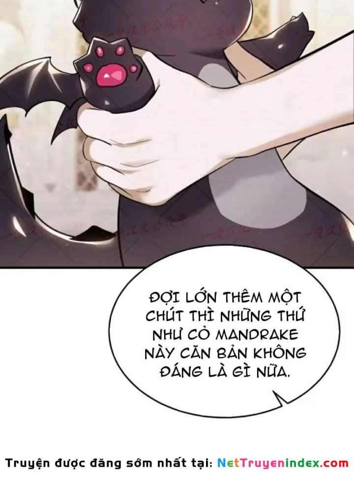 Trở Thành Rồng Nhỏ Chapter 9 - 23