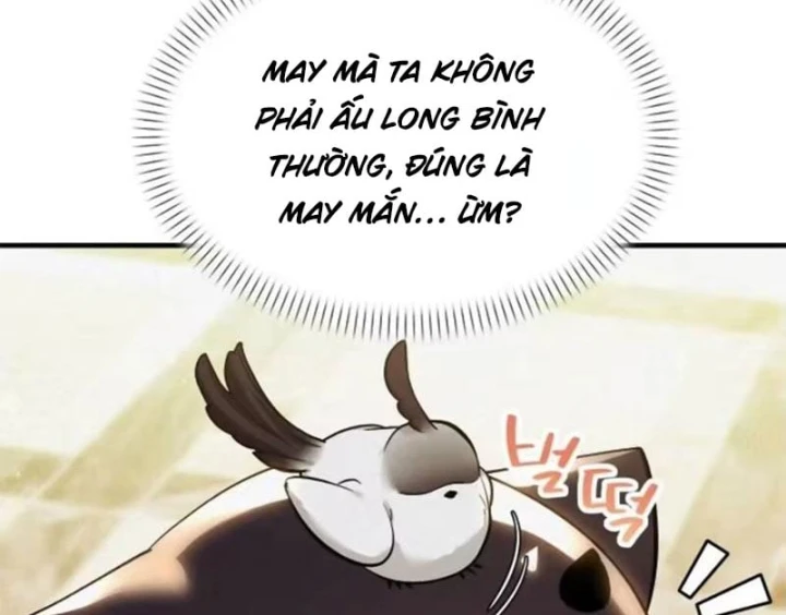 Trở Thành Rồng Nhỏ Chapter 11 - 24