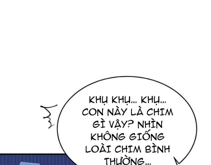 Trở Thành Rồng Nhỏ Chapter 11 - 39