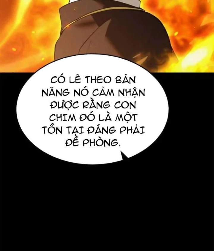 Trở Thành Rồng Nhỏ Chapter 13 - 98