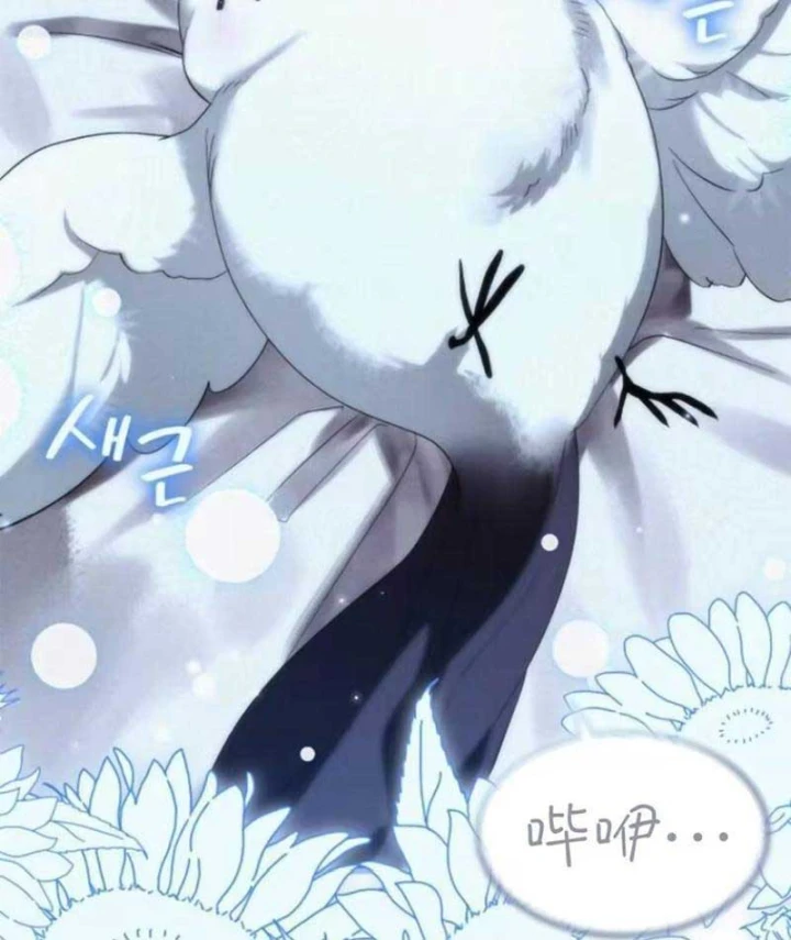 Trở Thành Rồng Nhỏ Chapter 17 - 27
