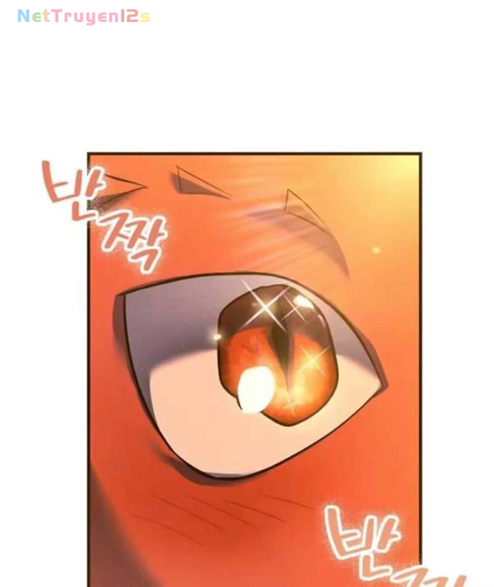 Trở Thành Rồng Nhỏ Chapter 18 - 62