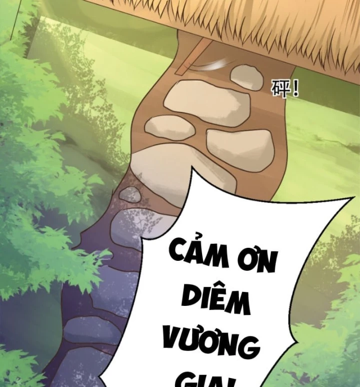 Thiếu Chủ Minh Giới Không Đúng Lắm Chapter 4 - 38