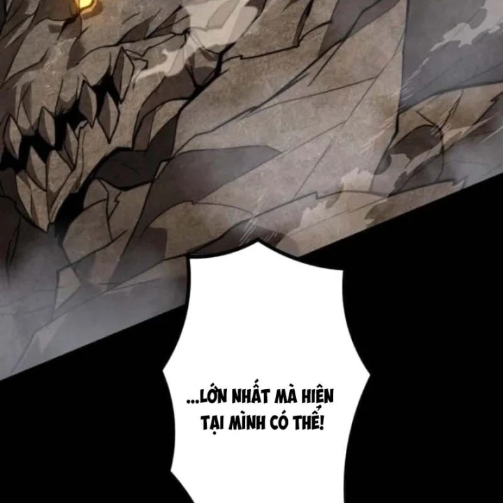 Thống Trị Tuyệt Đối Ngay Từ Level 0 Với Kỹ Năng Phân Tích Chapter 5 - 219