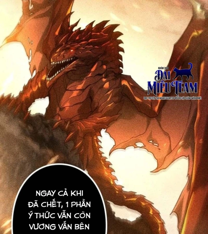 Thống Trị Tuyệt Đối Ngay Từ Level 0 Với Kỹ Năng Phân Tích Chapter 30 - 116