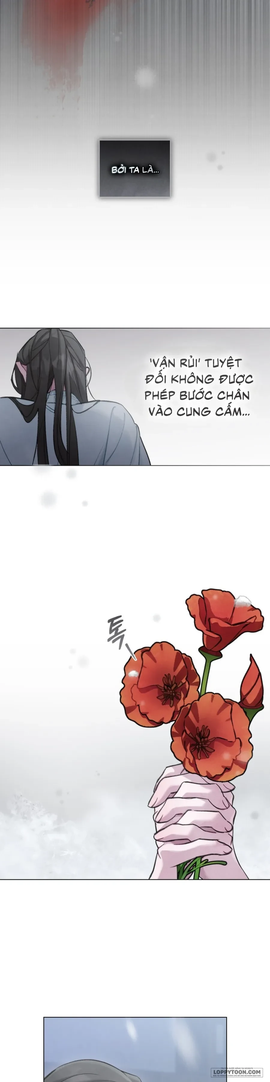 Chuyến Đi Đêm Chapter 31 - 12