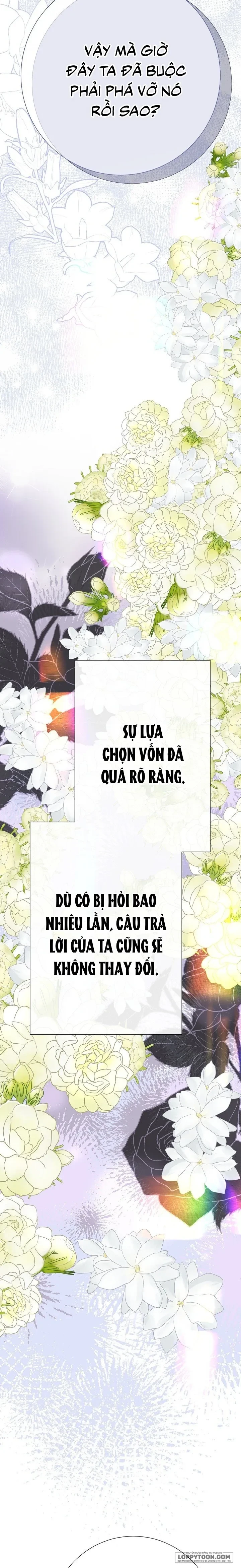 Lâu Đài Hoang Dã Chapter 31 - 26