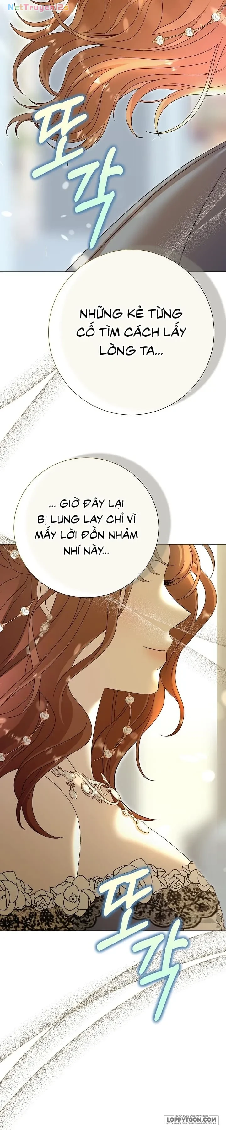 Lâu Đài Hoang Dã Chapter 41 - 28