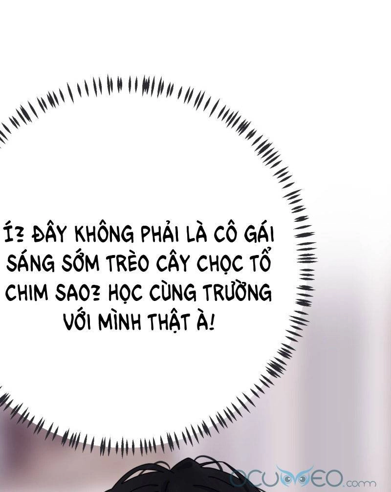 Khi Đóa Hoa Sẫm Màu Nở Rộ Chapter 5 - 3