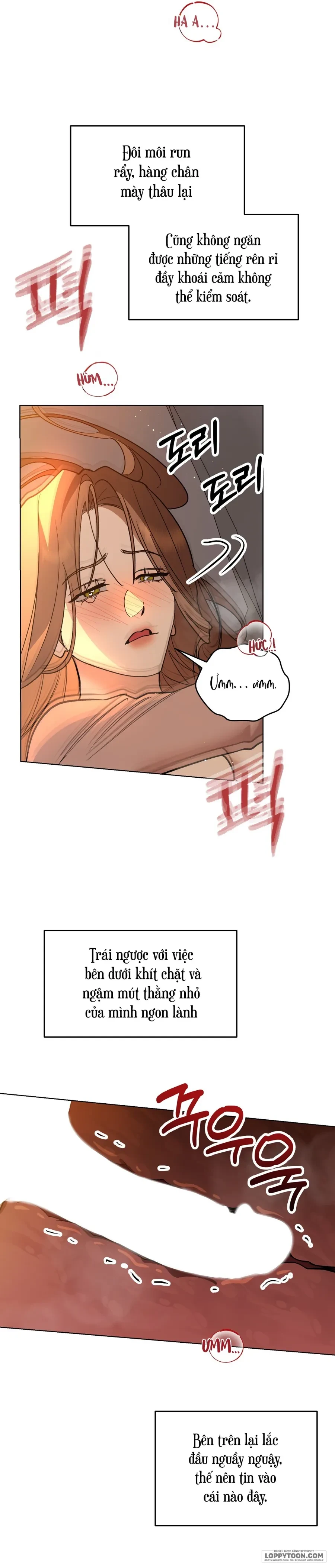Ngưỡng Tuyệt Đối Chapter 9 - 15