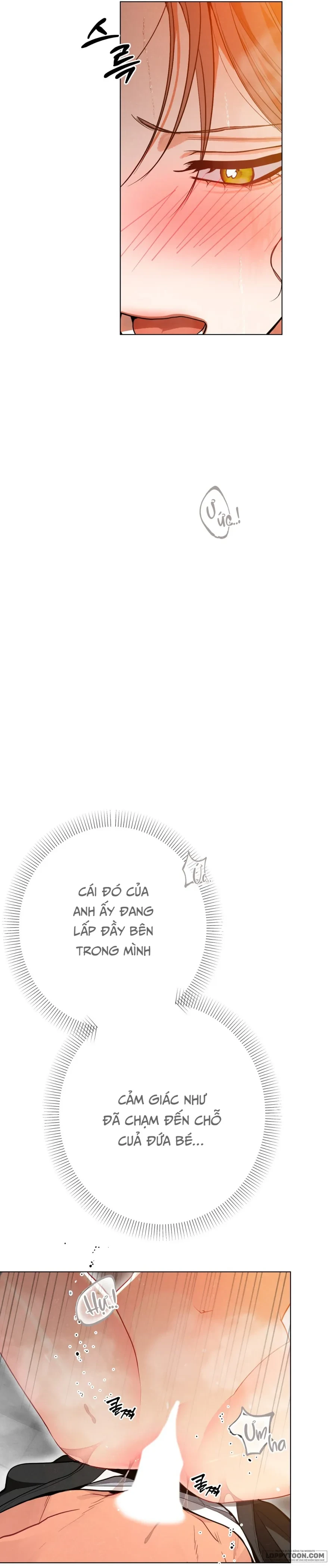 Ngưỡng Tuyệt Đối Chapter 45 - 23