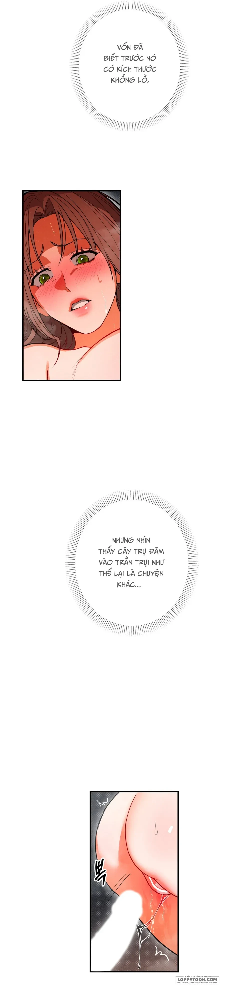 Ngưỡng Tuyệt Đối Chapter 80 - 5