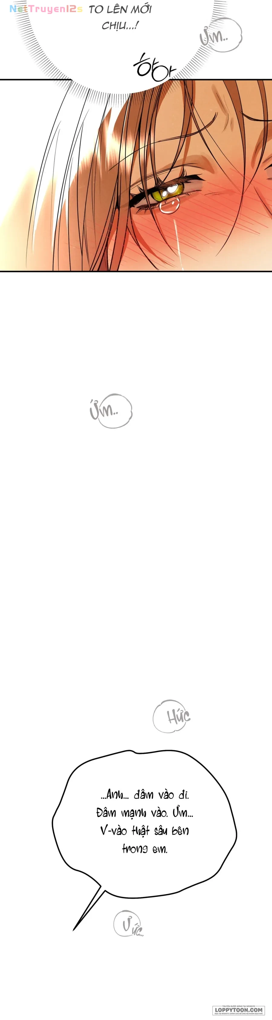 Ngưỡng Tuyệt Đối Chapter 95 - 43