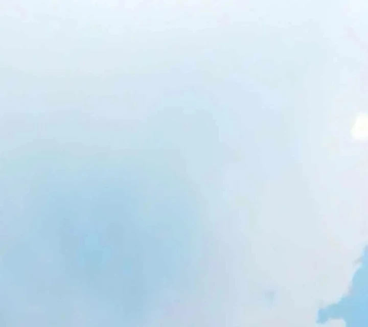 Sống Bất Tử Chapter 12 - 215