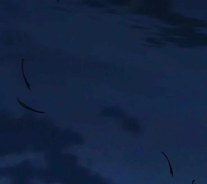 Sống Bất Tử Chapter 18 - 6