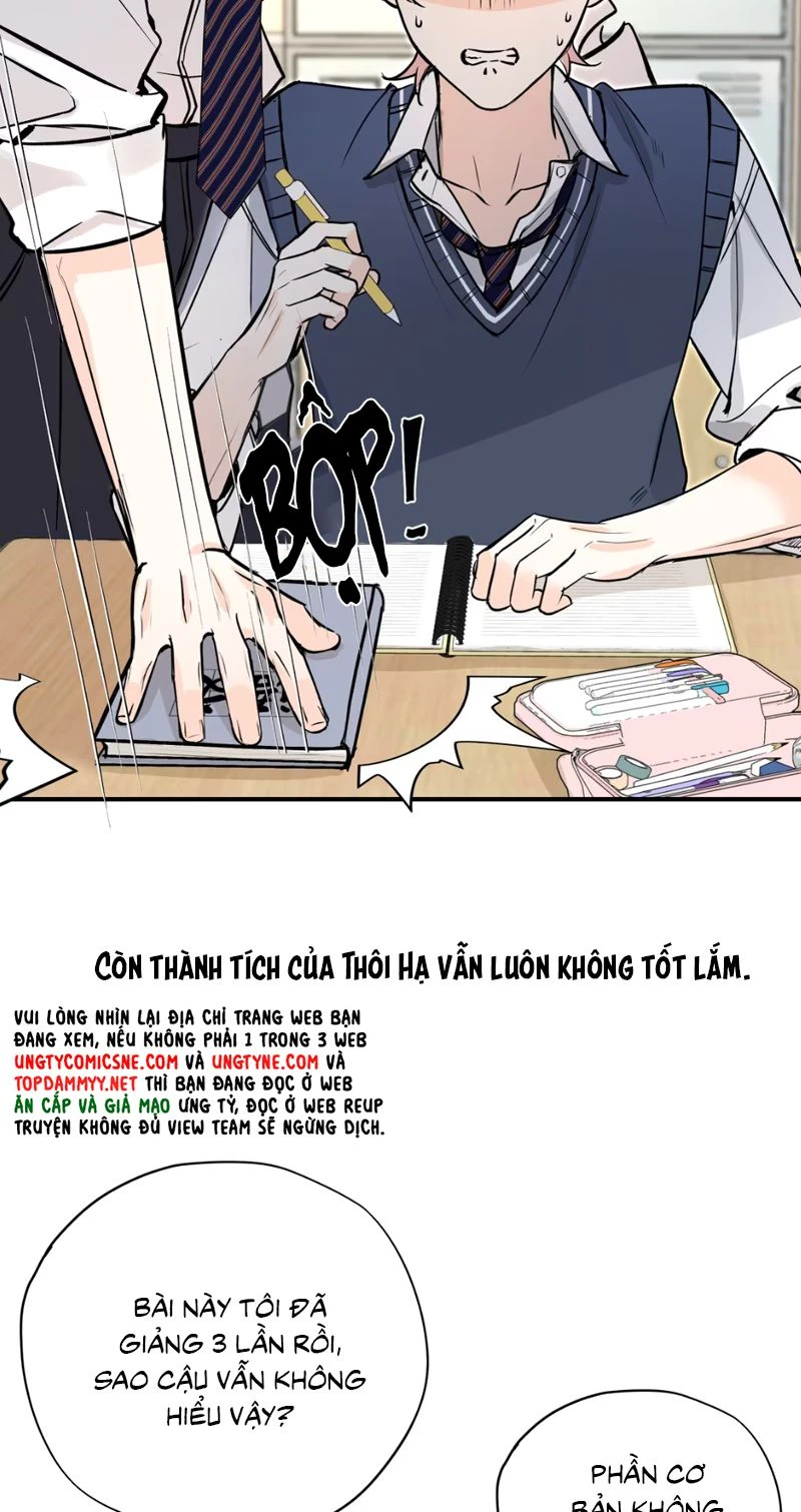 Hổ Ngửi Hoa Tường Vi Chapter 1 - 29