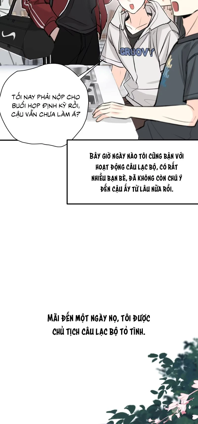 Hổ Ngửi Hoa Tường Vi Chapter 1 - 65
