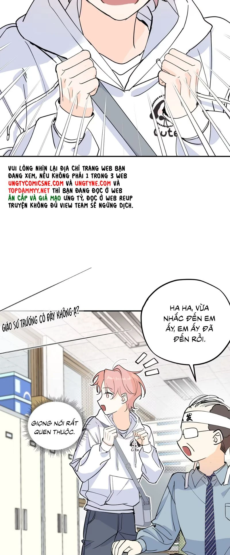 Hổ Ngửi Hoa Tường Vi Chapter 2 - 11