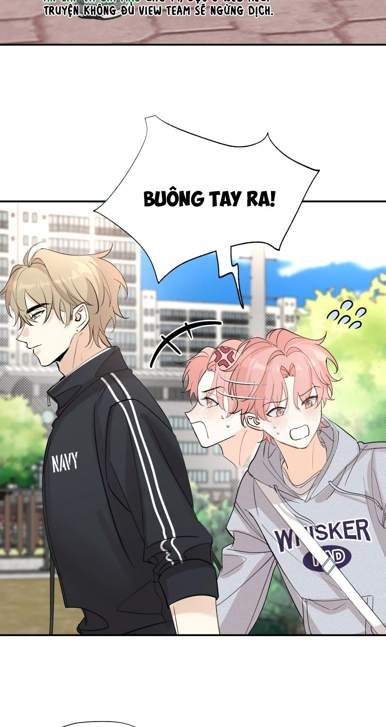 Hổ Ngửi Hoa Tường Vi Chapter 4 - 32