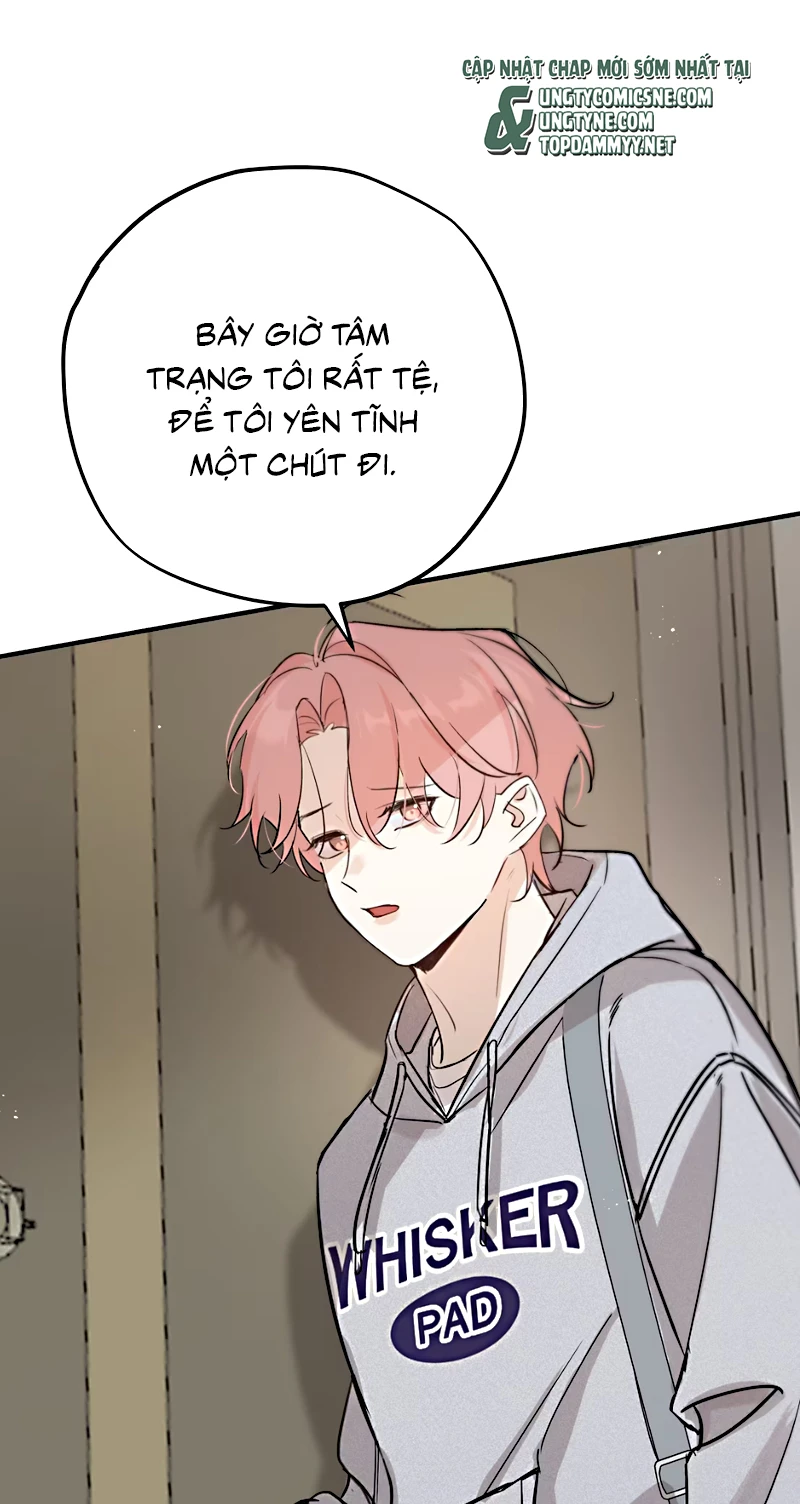 Hổ Ngửi Hoa Tường Vi Chapter 7 - 19