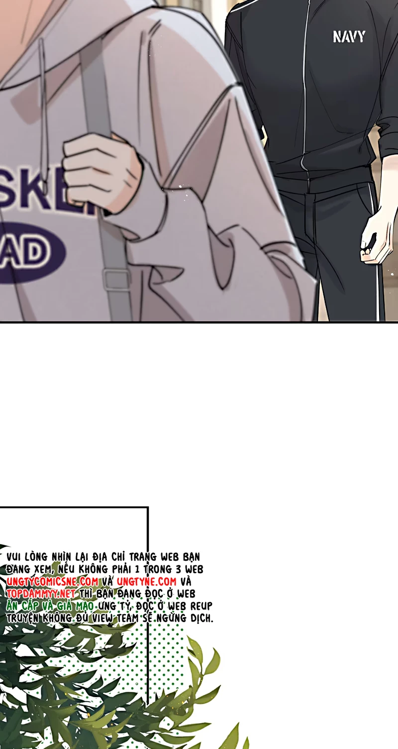 Hổ Ngửi Hoa Tường Vi Chapter 7 - 21