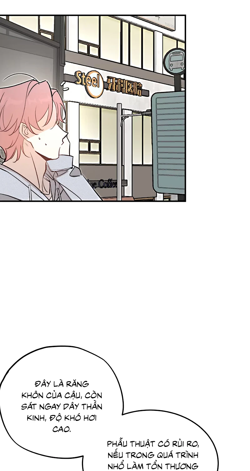 Hổ Ngửi Hoa Tường Vi Chapter 7 - 27
